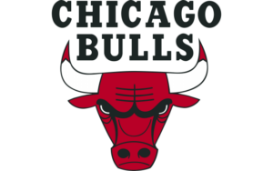 Chicago Bulls Logo PNG