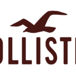 Hollister Logo History: Meaning, Symbolism & Brand Heritage