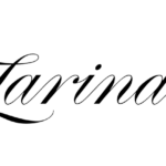 Zarina Logo History: Meaning, Symbolism & Brand Heritage